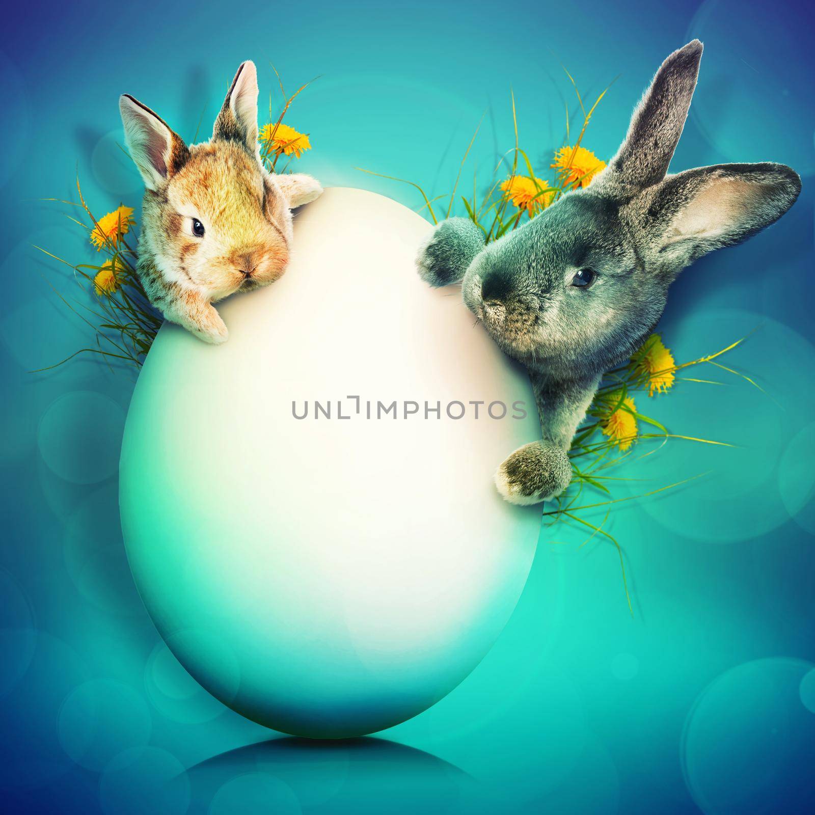 Funny Easter bunny. Happy Easter holiday concept. by Taut