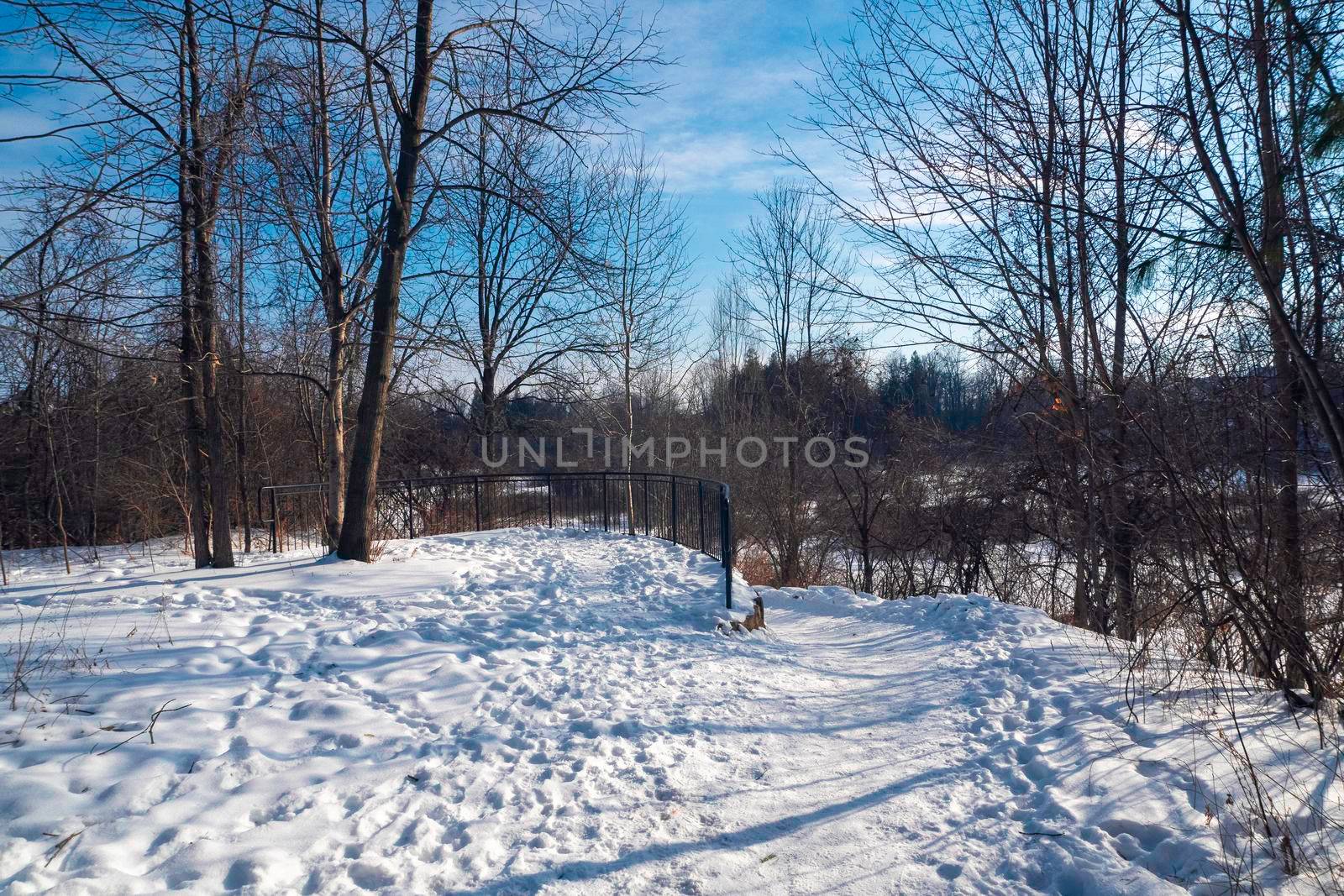 Winter road to the park on a fine day by ben44