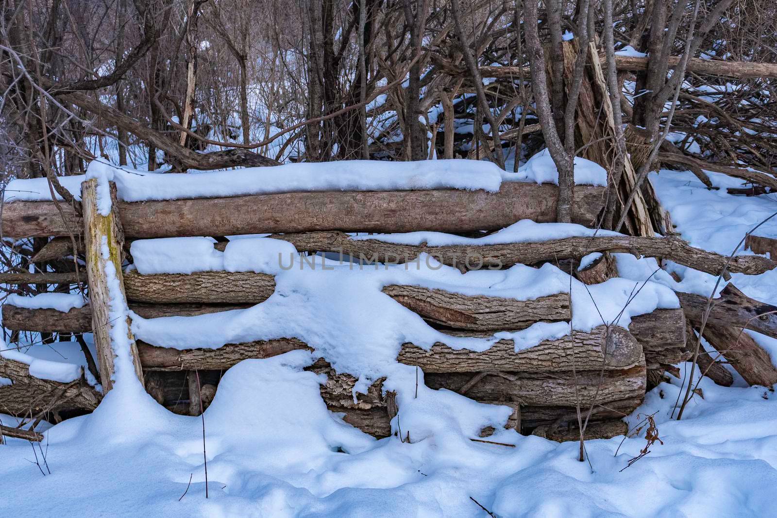 Firewood harvested for the winter stacked near the path, covered with snow