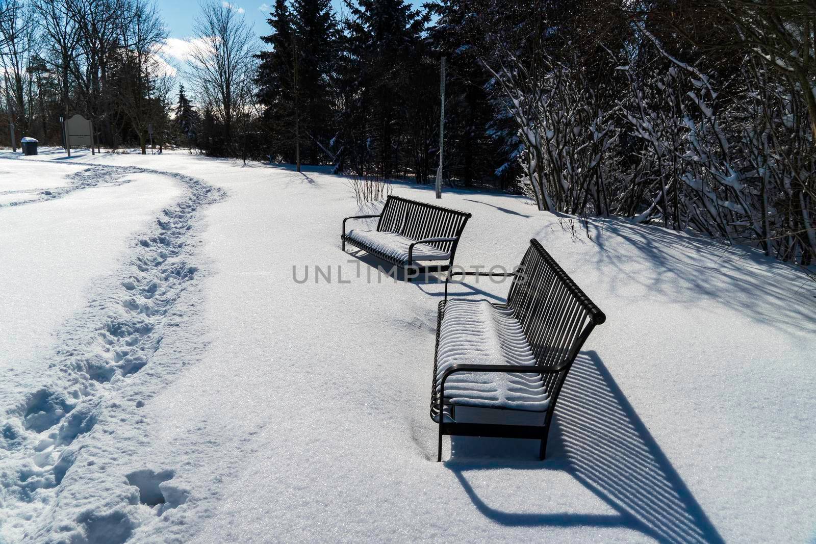 Two winter benches in the park by ben44