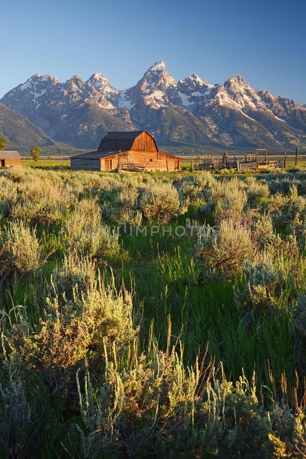 a wooden barn at grand teton national park