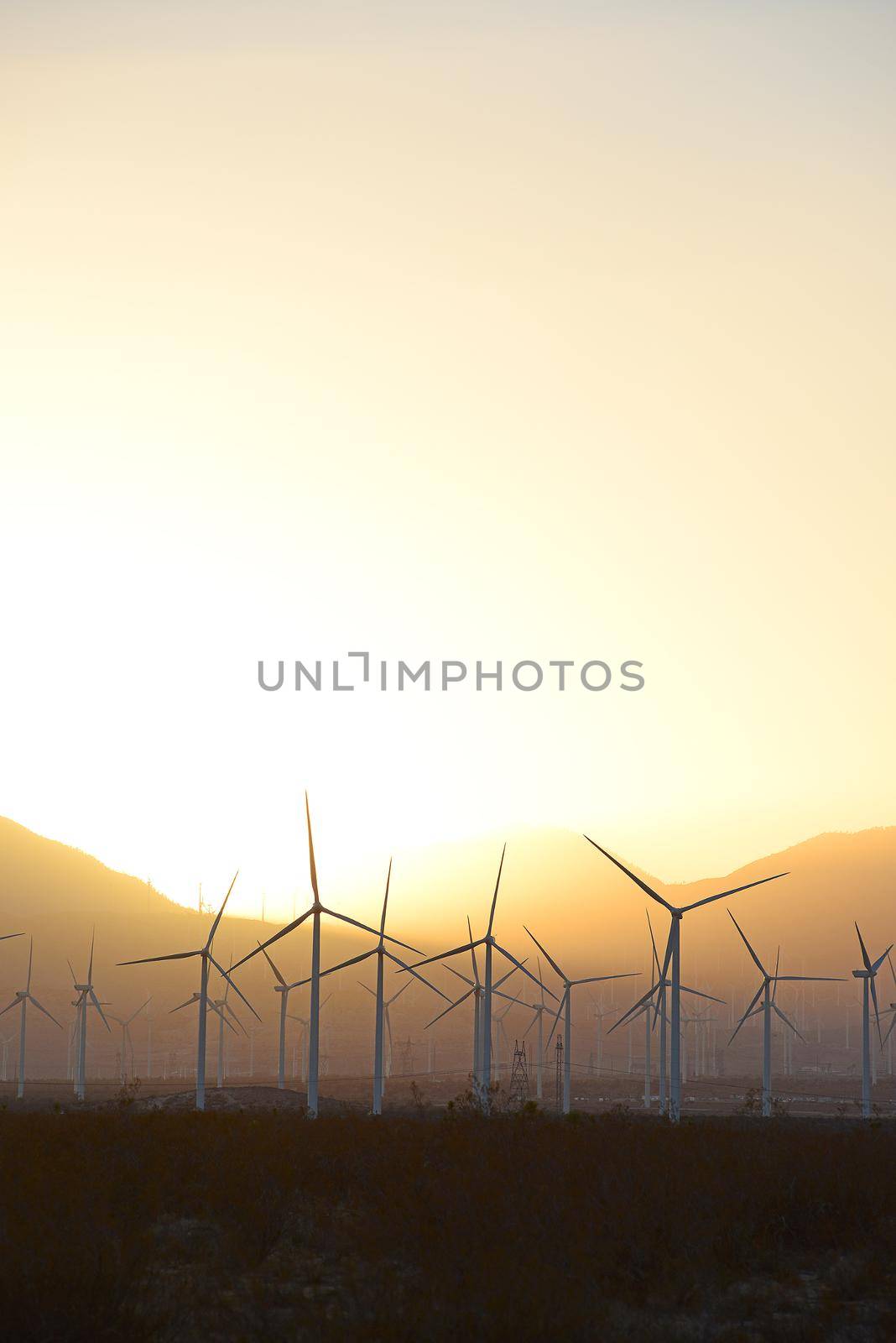 wind mill farm in california desert