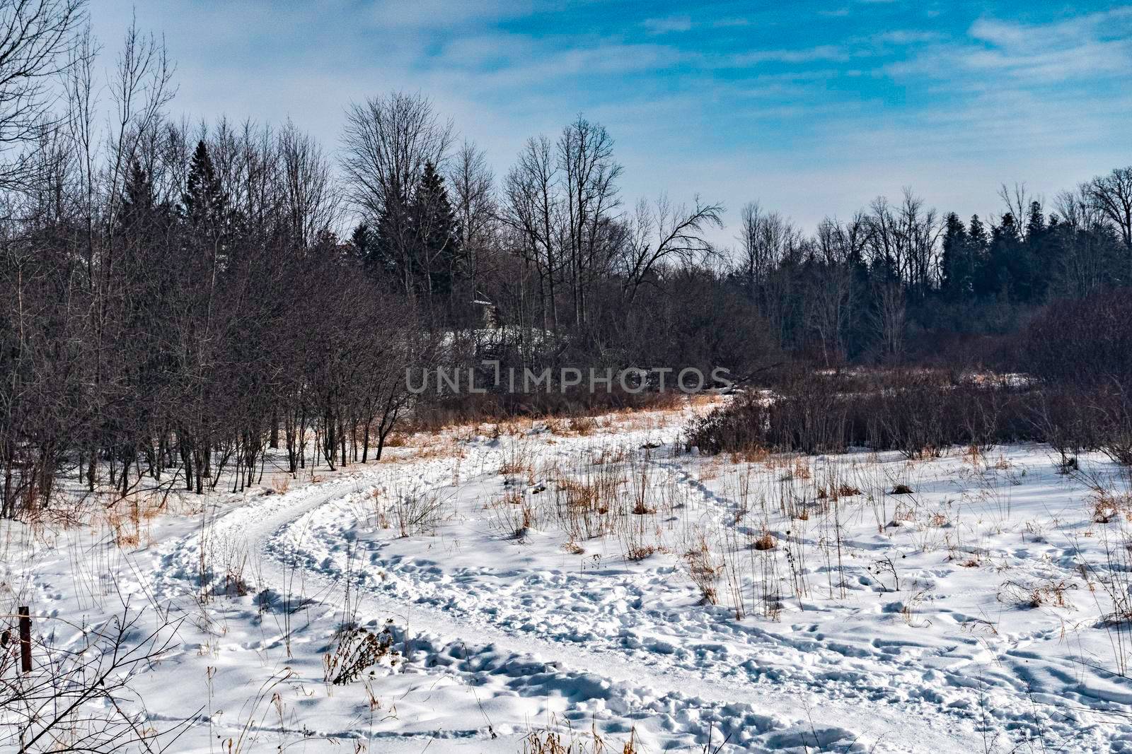 Landscape, traces of people and animals on the path around the snow-covered field