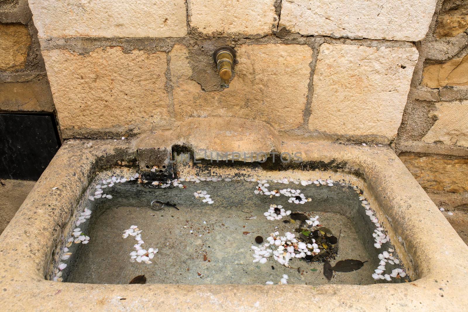 Stone fountain of fresh water with almond flower petals in Benifato village, Alicante, Spain
