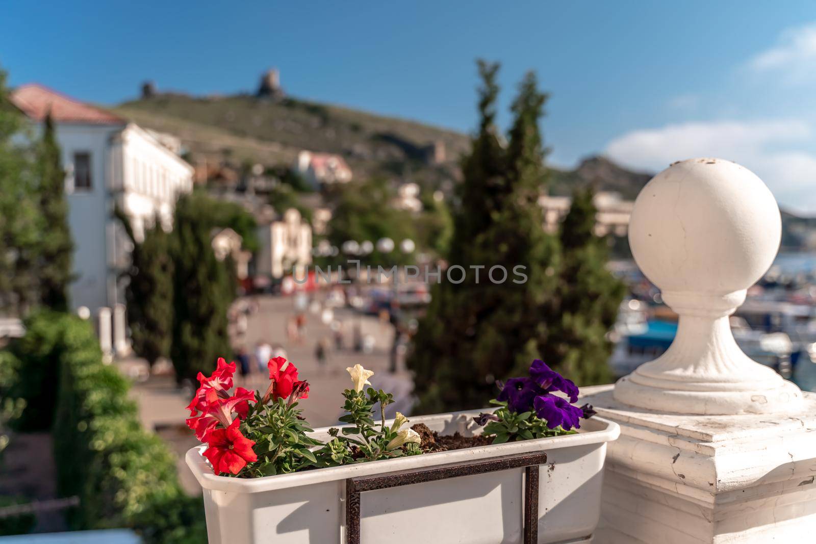 A beautiful view through the bright flowers of petunias to the sea bay with yachts. Turquoise sea against the backdrop of mountains and a clear blue sky