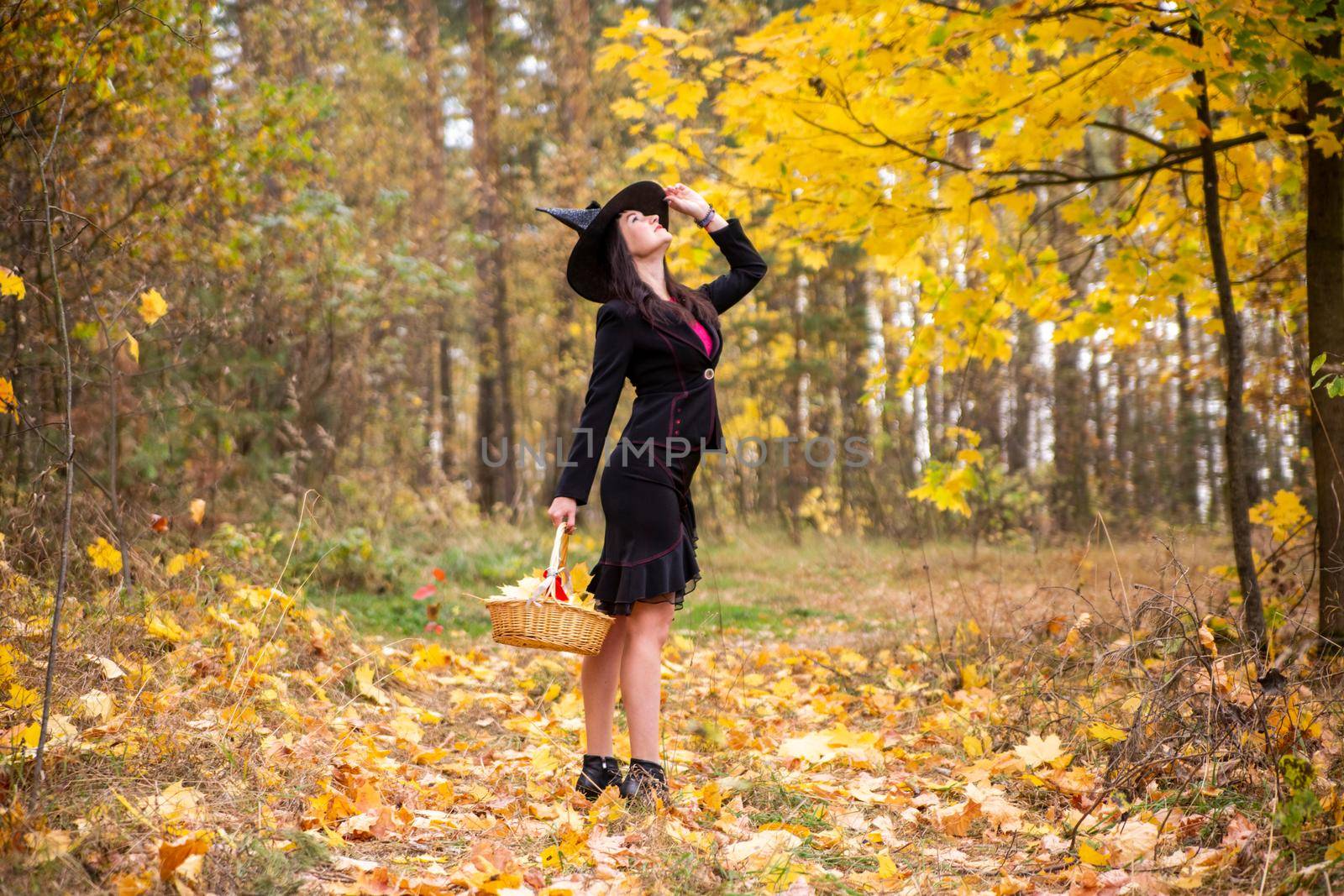 witch woman in black cloak with basket in hands at autumn forest. side view. halloween concept