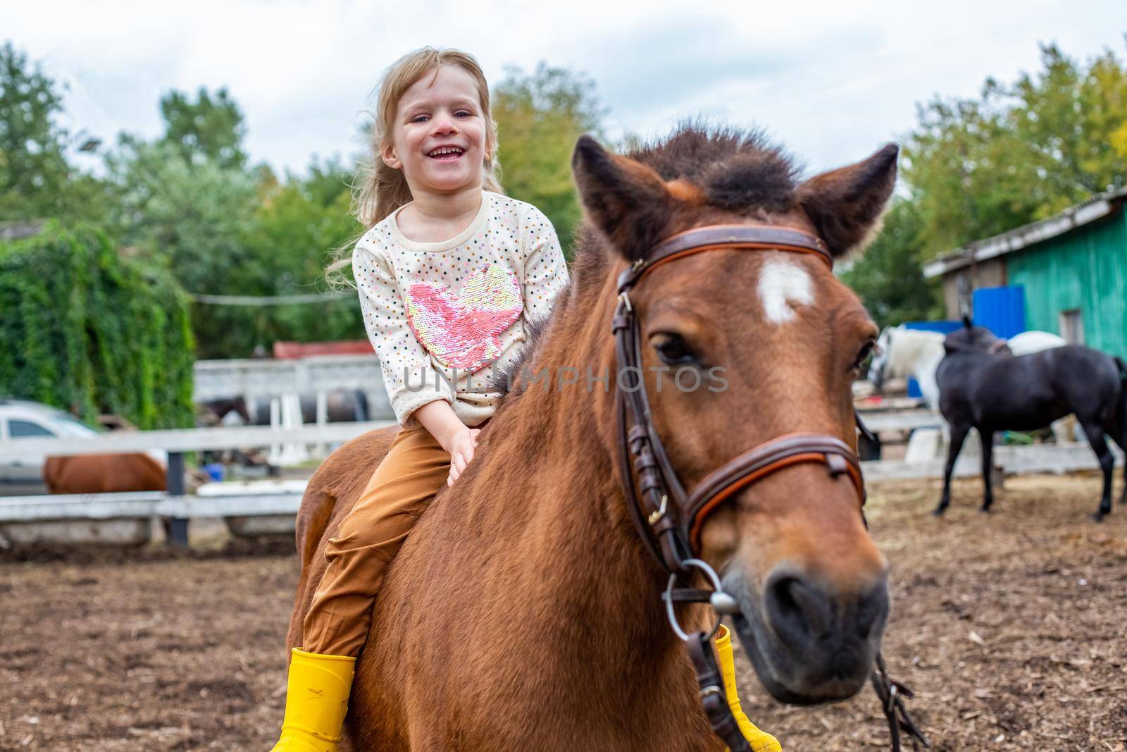 portrait of happy little girl riding a horse bareback and laugh