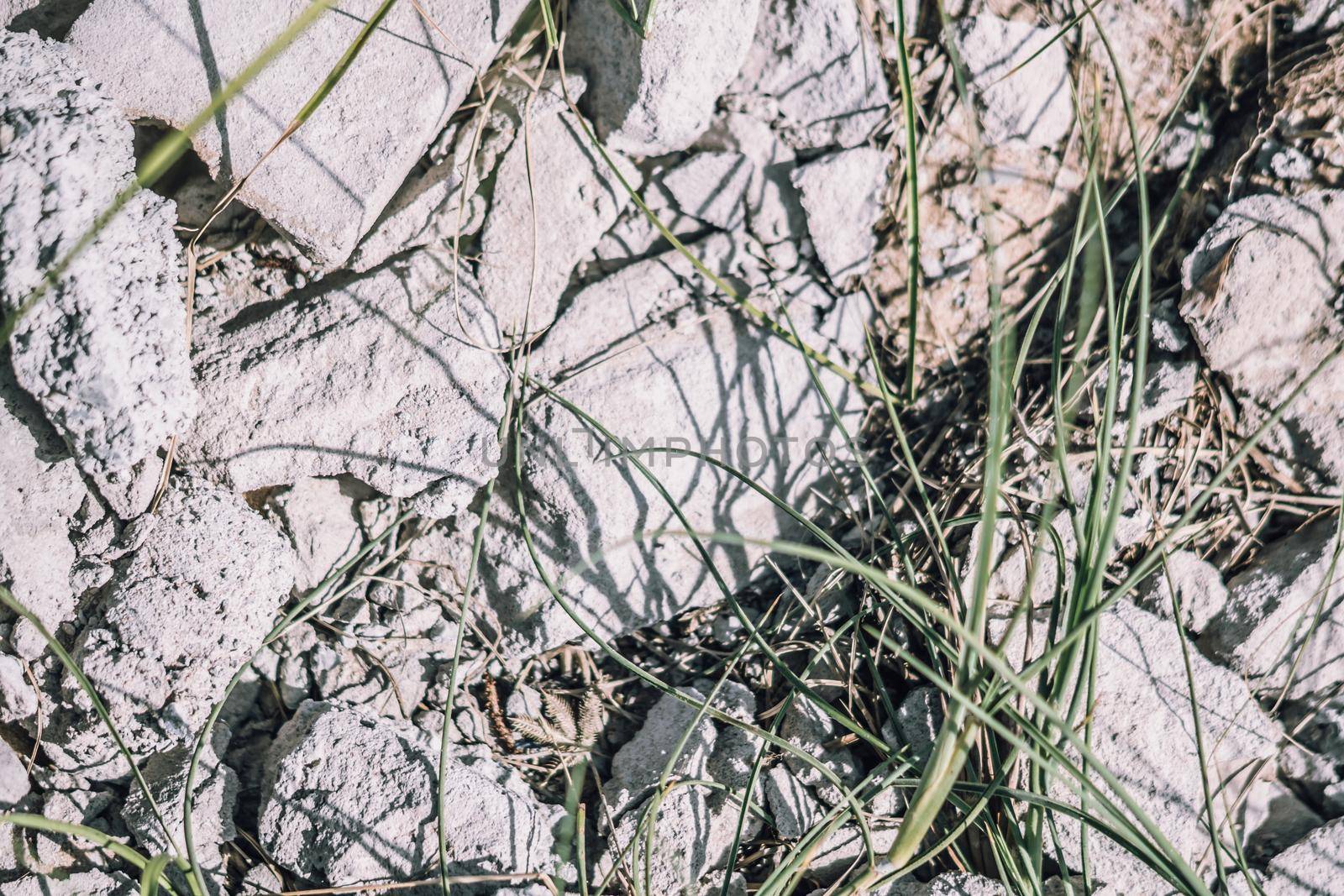 Abstract real photo grunge background. Light Grey broken scattered concrete asphalt road macro close up texture surface shot. Design, wall decorative trim. Green grass, nature pollution chaos mess.