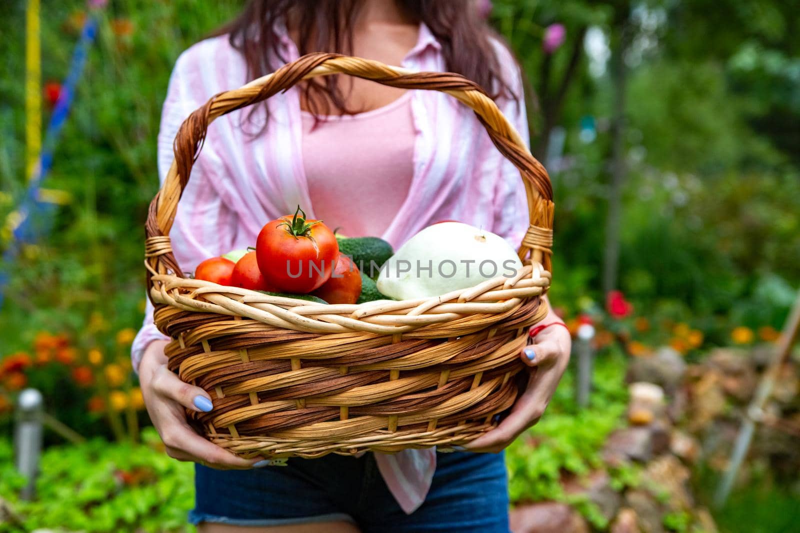 farmer woman in plaid linen dress is holding big wooden basket with fresh organic seasonal vegetables from her garden. Pumpkin, pepper, corn, tomatoes, chili, basil, bay leaf. Healthy simple food