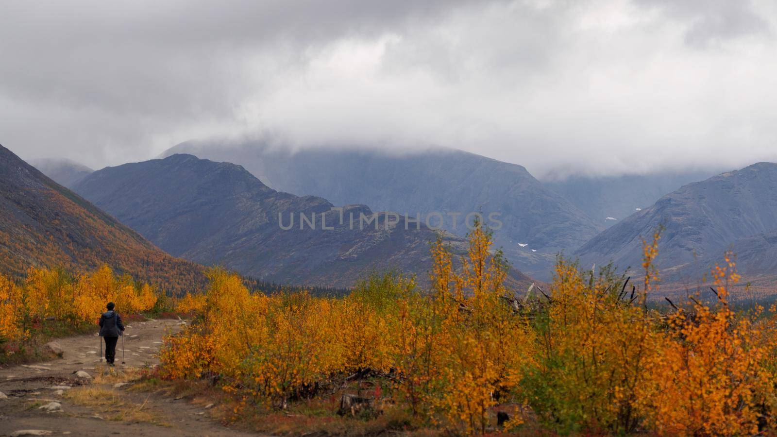 A woman in the autumn season walks along a path in the mountains on a rainy day. by Andre1ns