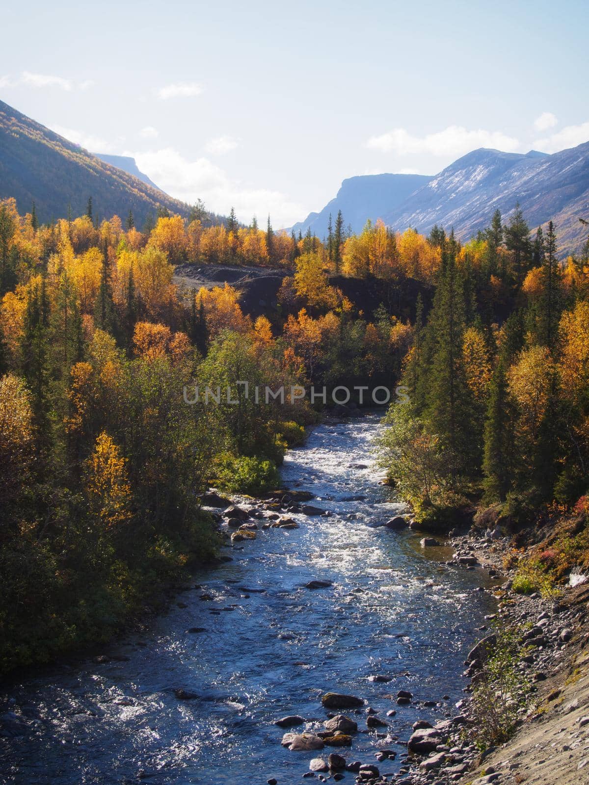 River in the Khibiny mountains in autumn. Autumn landscape by Andre1ns