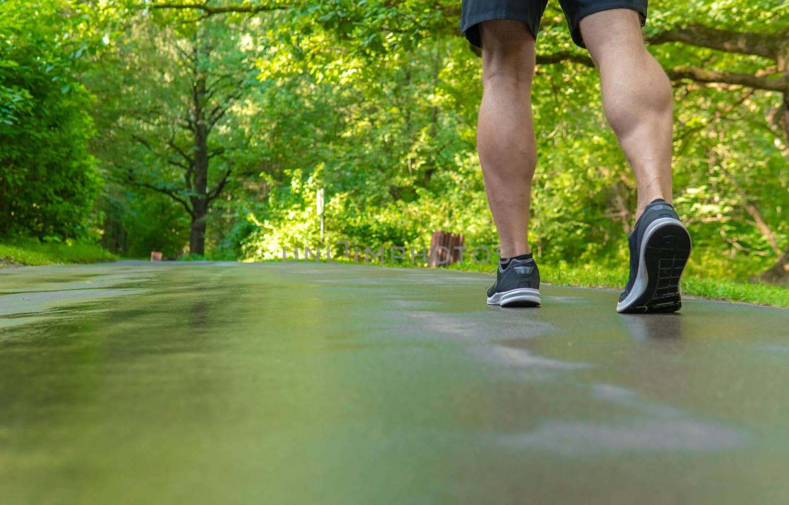 Legs in sneakers close up athlete runs in the park outdoors, around the forest, oak trees green grass young enduring athletic athlete healthy exercise, fitness trail fit person man. Autumn distance stretches