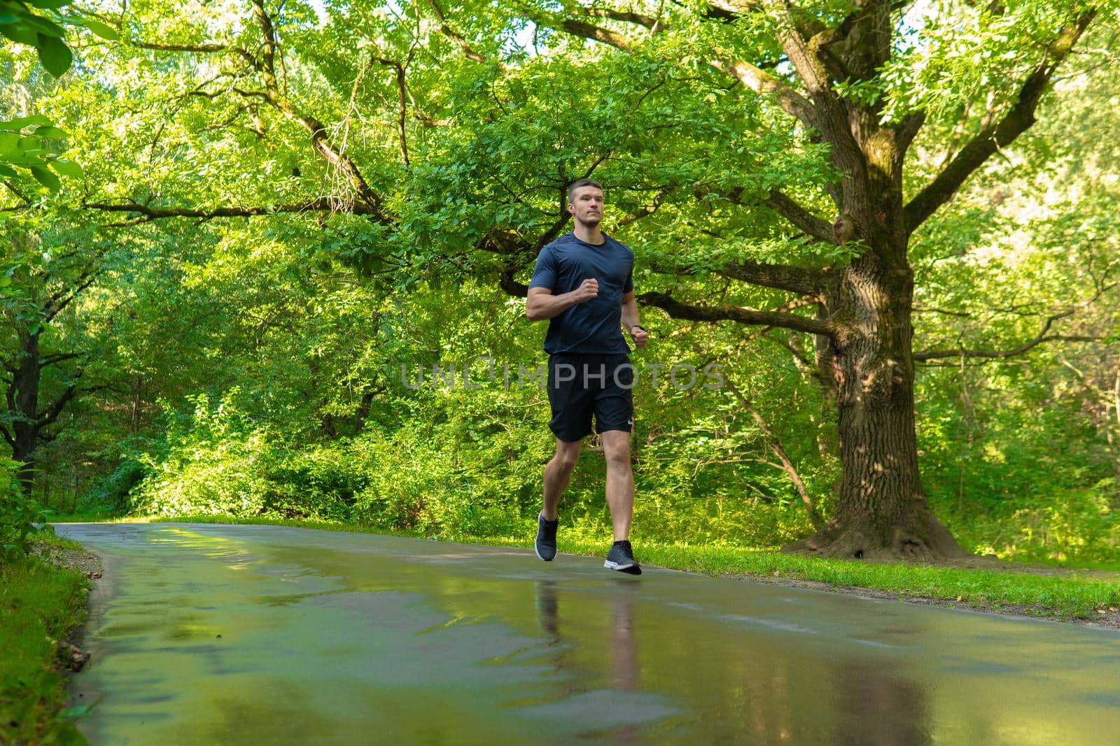 A man athlete runs in the park outdoors, around the forest, oak trees green grass young enduring athletic athlete run sport workout training recreation woods wellbeing. Adult energy running, runners stretches
