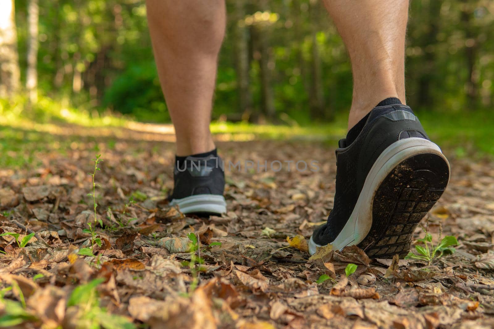 Legs in sneakers close up athlete runs in the park outdoors, around the forest, oak trees green grass young enduring athletic athlete run sport nature, lifestyle jogger person marathon, trees Adult energy cross, runners stretches