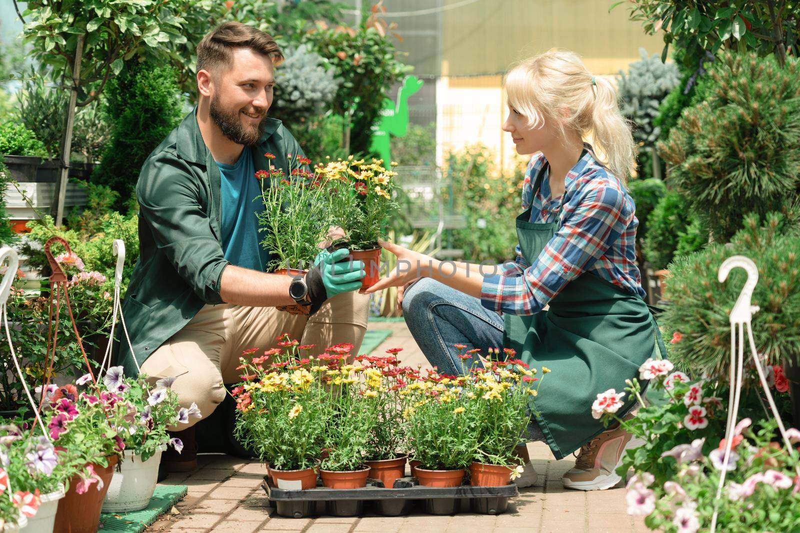 Gardeners working with plants in garden center