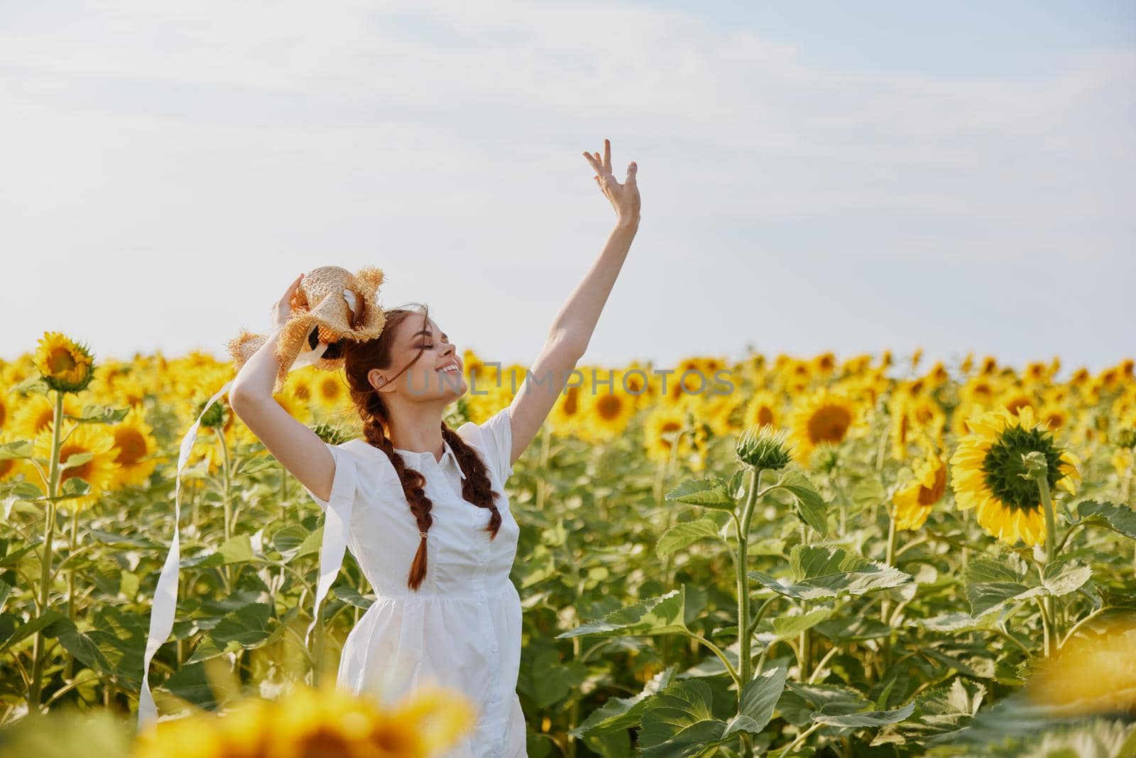 woman with pigtails looking in the sunflower field unaltered. High quality photo