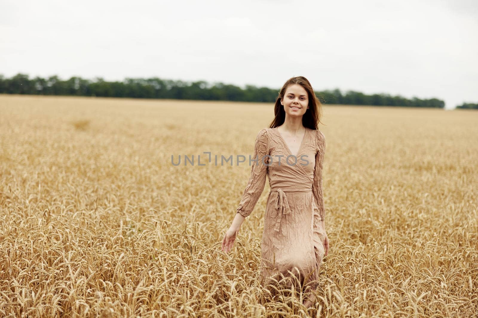 touching golden wheat field the farmer concerned the ripening of wheat ears in early summer harvest by SHOTPRIME