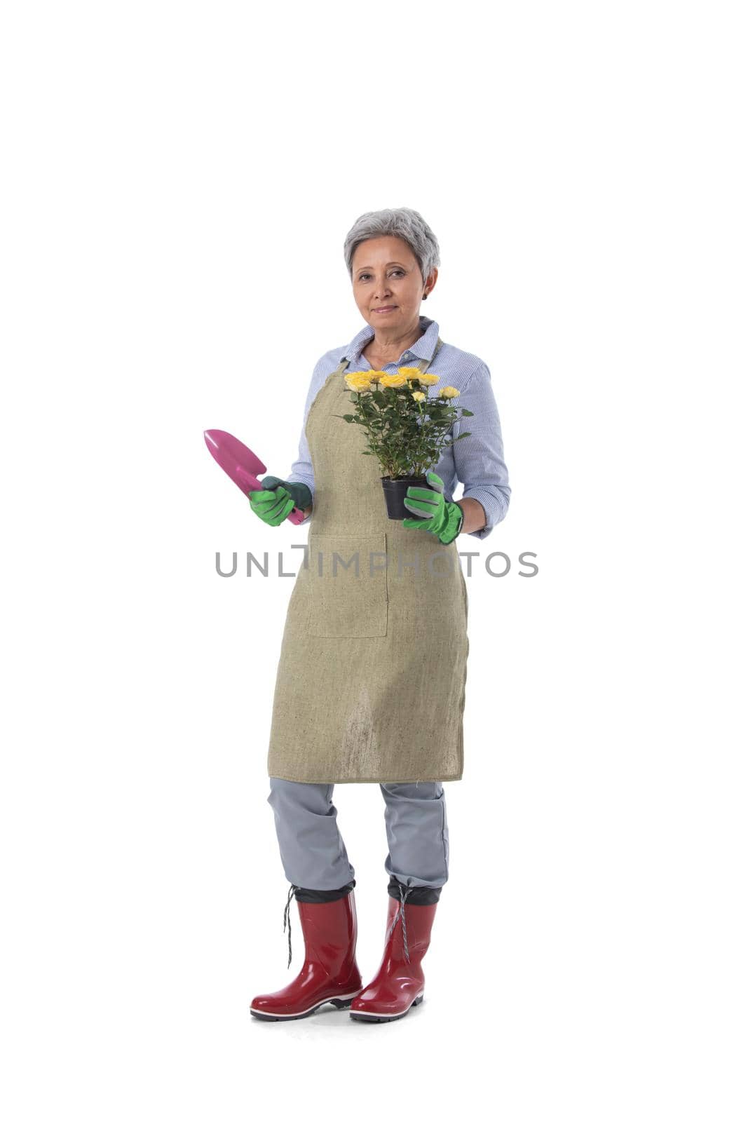 Full length portrait of smiling asian woman professional gardener or florist in apron holding rose flower in a pot isolated on white background