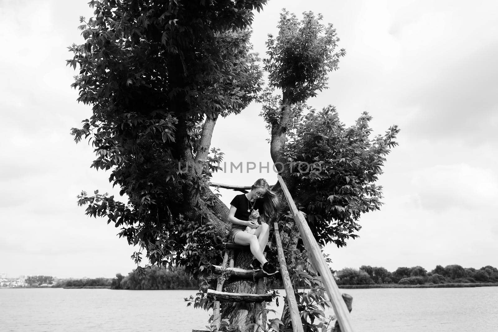 A young woman with a three-month-old Scottish Straight kitten sits on a beautiful green tree above the lake in summer. Walk, rest with a pet. The blonde is wearing shorts, a black T-shirt and glasses.