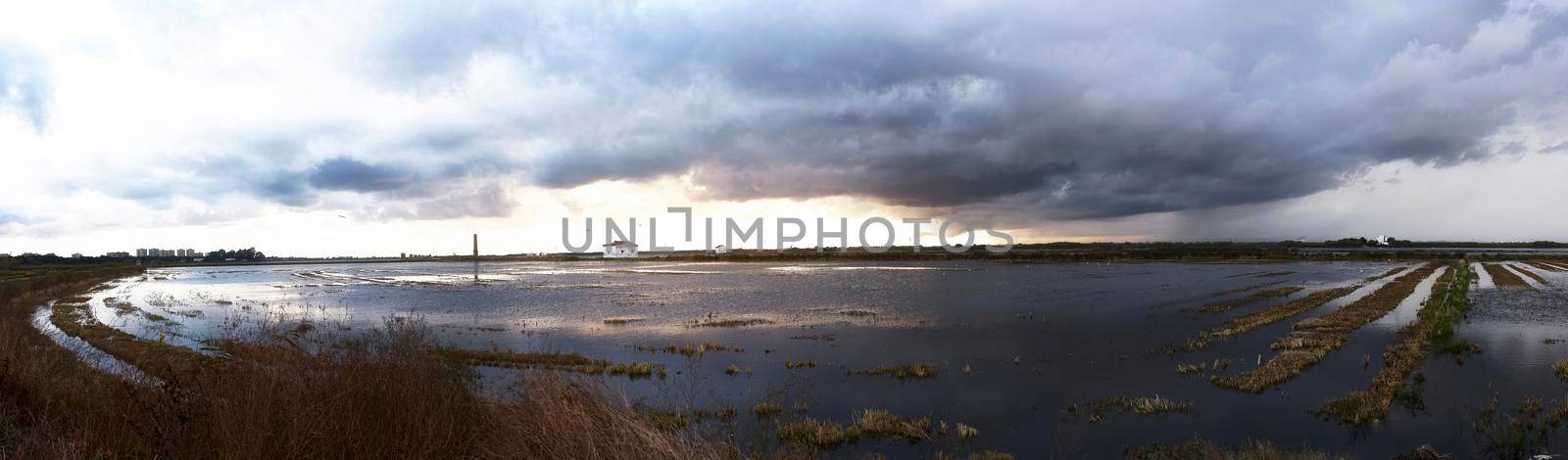 Flooded rice field for sowing with clouds.Albufera Valencia by raul_ruiz