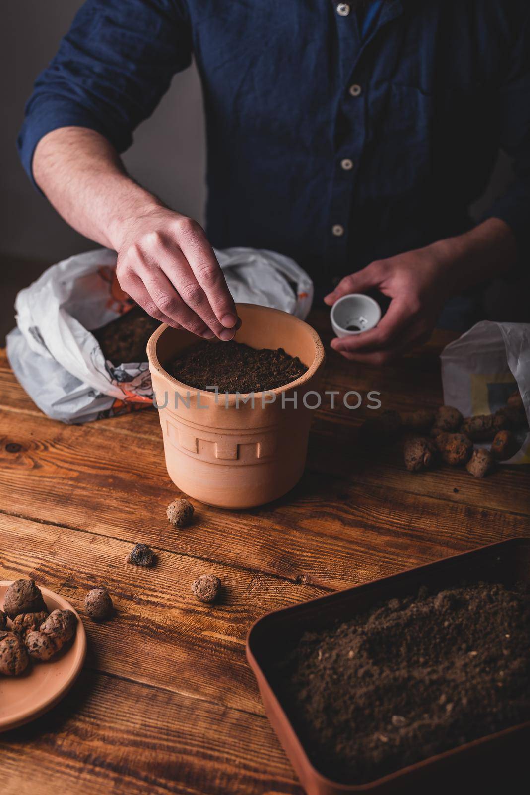 Man Sowing Thyme Seeds into Terracotta Pot by Seva_blsv