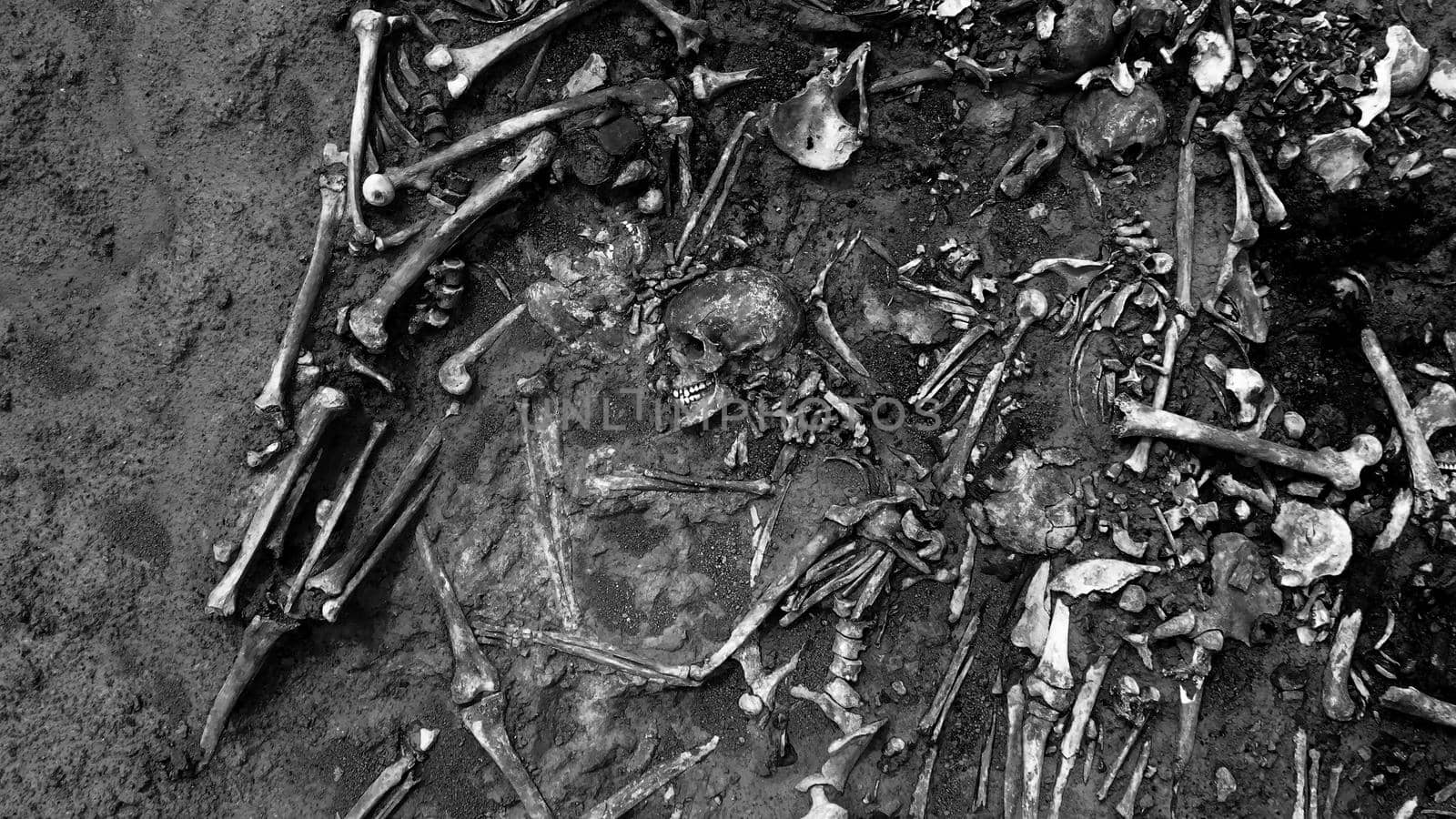 Archaeological excavations, Human remains in the ground. War crime scene. Site of a mass shooting of people. Human remains - bones of skeleton, skulls by EvgeniyQW