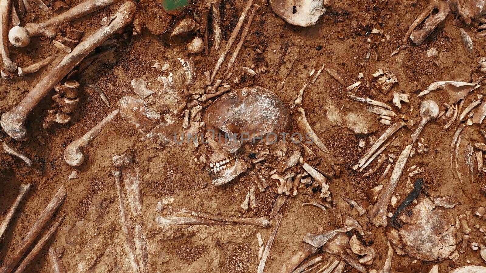 Archaeological excavations, Human remains in the ground. War crime scene. Site of a mass shooting of people. Human remains - bones of skeleton, skulls.