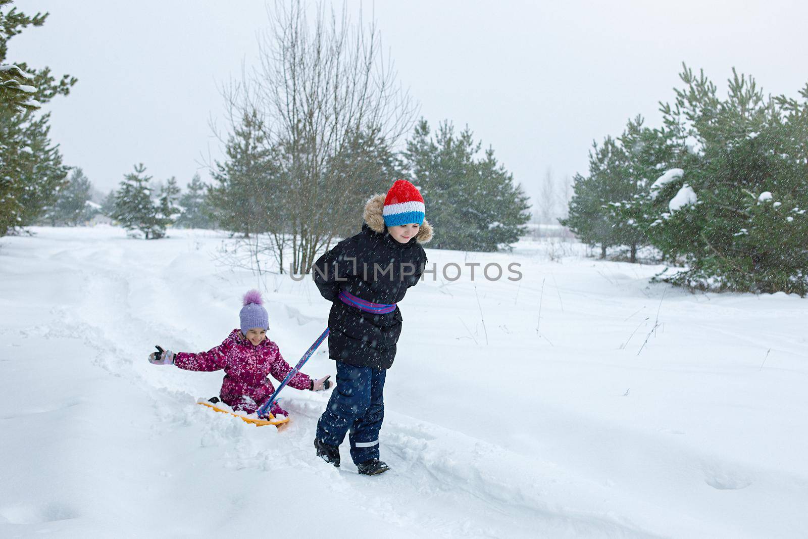 A boy rolls a little girl in the snow on a ice rink. by Zakharova
