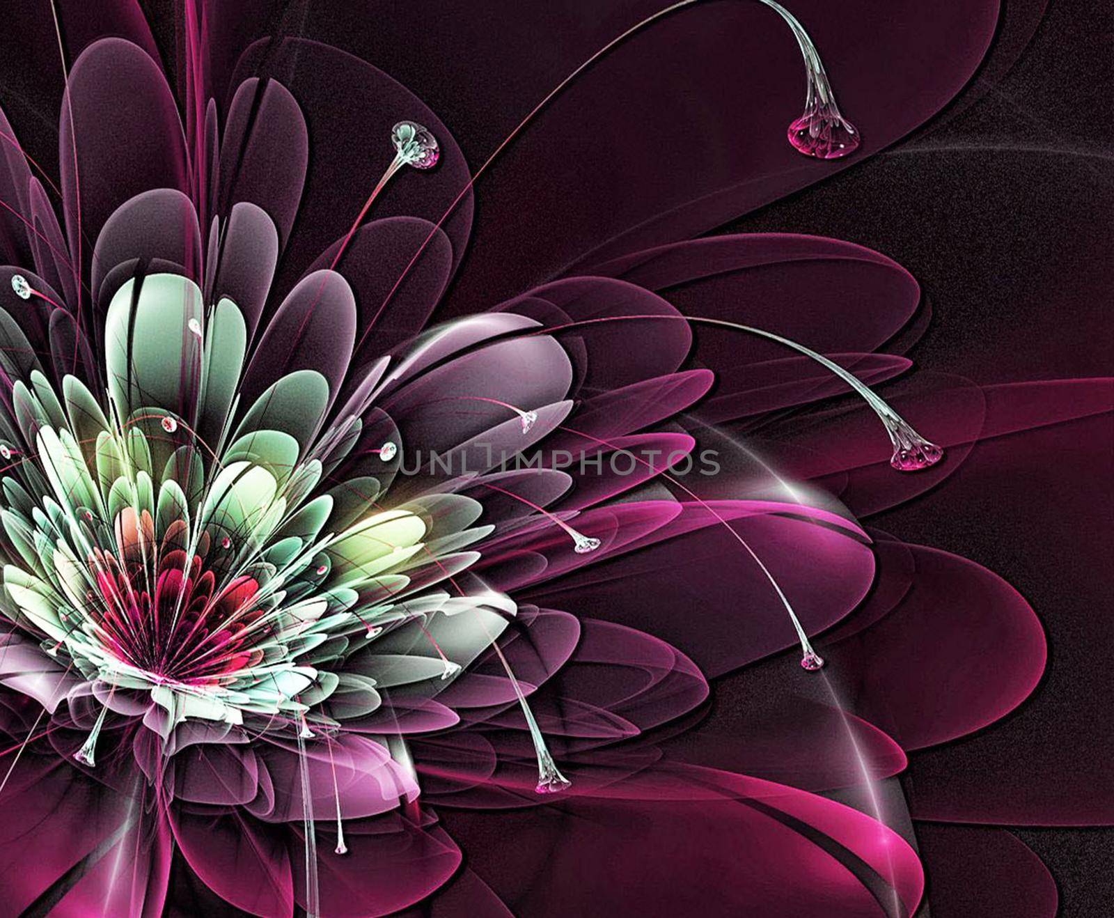 A Elegant flowers backgrounds for wrappers, wallpapers, postcards by TravelSync27