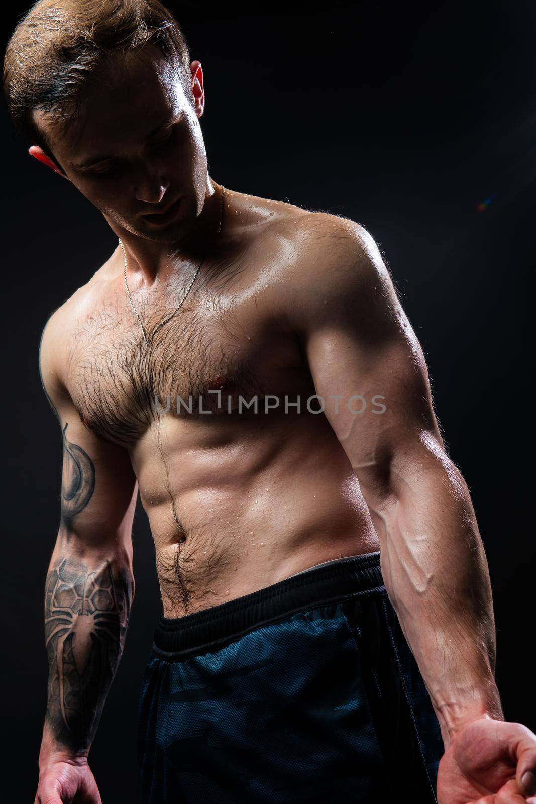 Man on black background keeps dumbbells pumped up in fitness muscle chest torso, athlete muscular workout hand, person weightlifting. Young skin adult, human fit View from the bottom up good press beautiful muscles hairy chest charisma