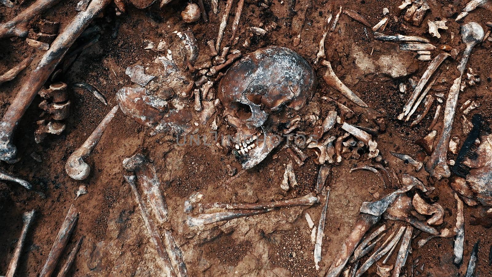 Archaeological excavations, Human remains in the ground. War crime scene. Site of a mass shooting of people. Human remains - bones of skeleton, skulls.