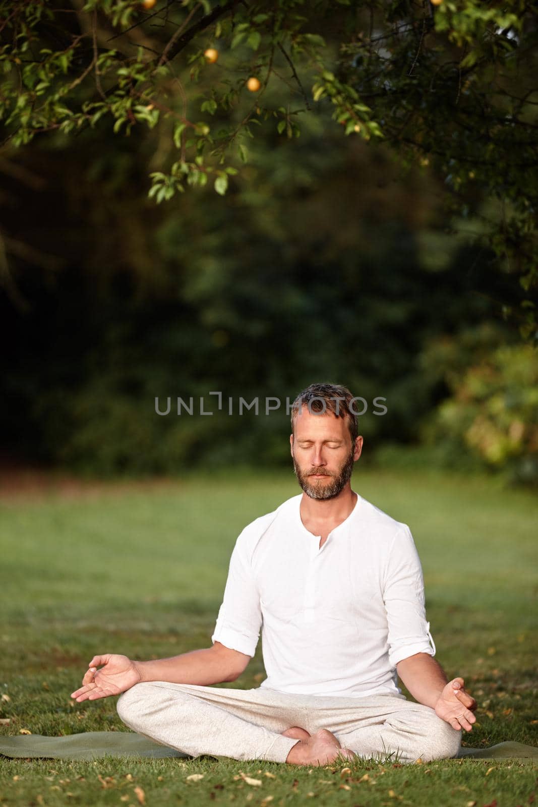 Peaceful moments in nature. Shot of a handsome mature man sitting in the lotus position with his eyes closed. by YuriArcurs