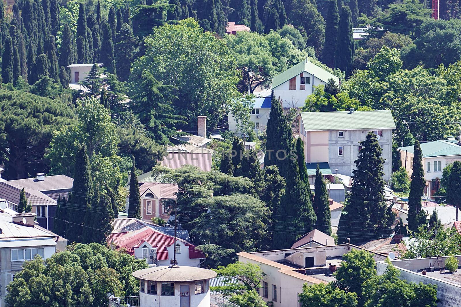 Urban landscape with buildings. Yalta, Crimea by Vvicca