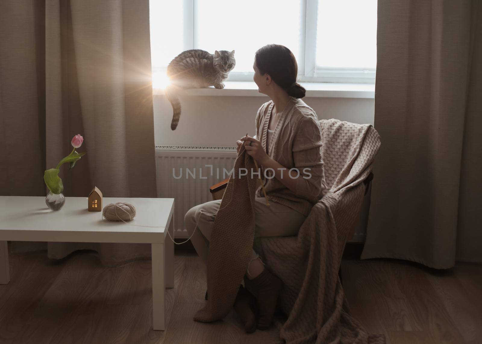 young woman knitting from woolen yarn and a cute funny tabby cat in cozy sunny room at home.