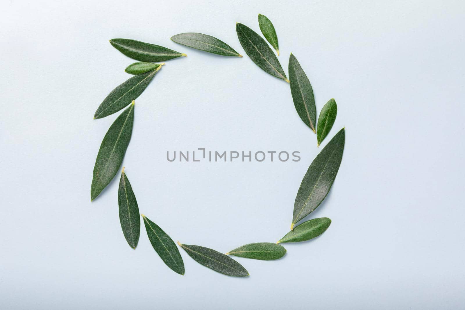 A circular wreath formed with olive leaves by alvarobueno