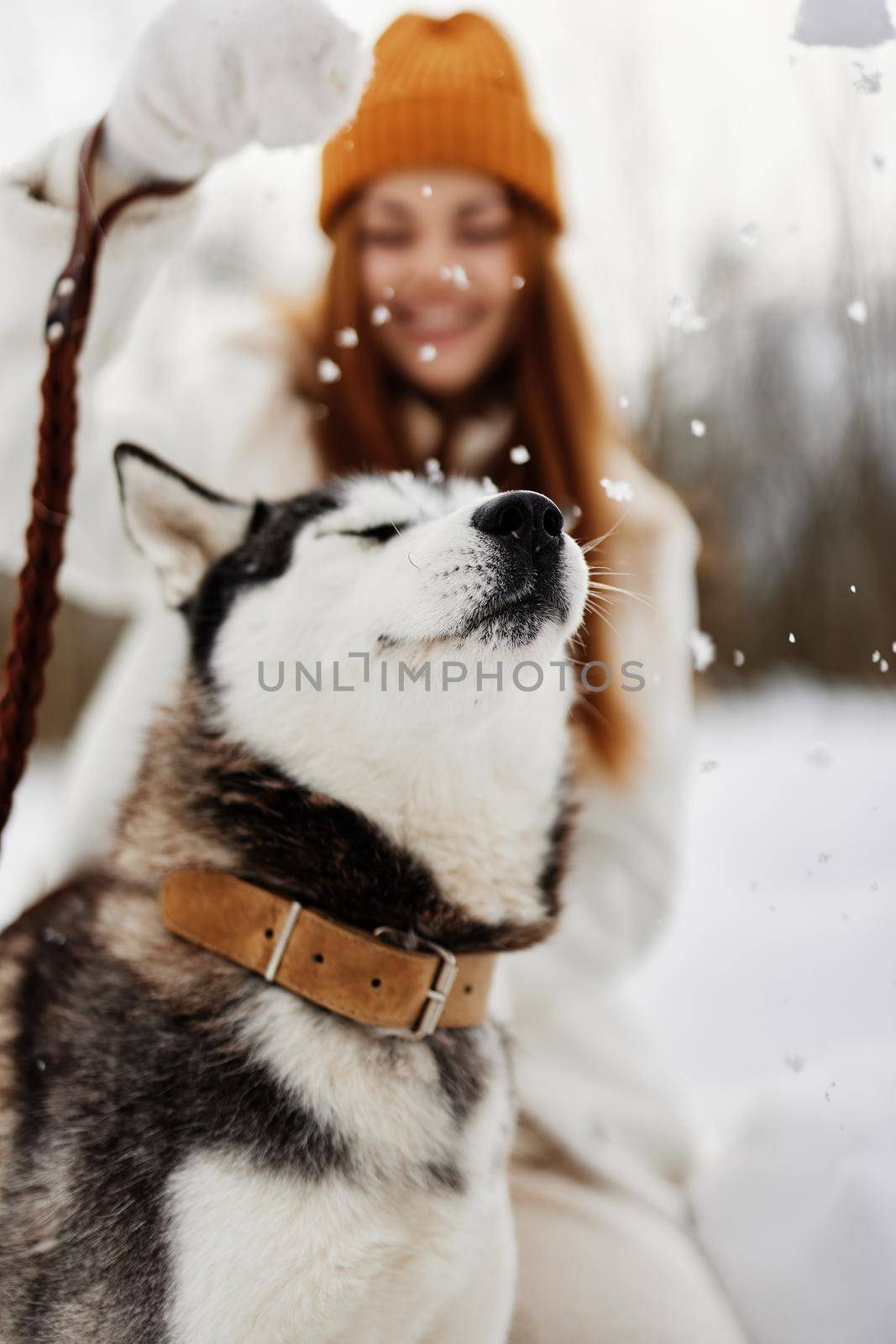 young woman with husky on the snow walk play rest Lifestyle. High quality photo