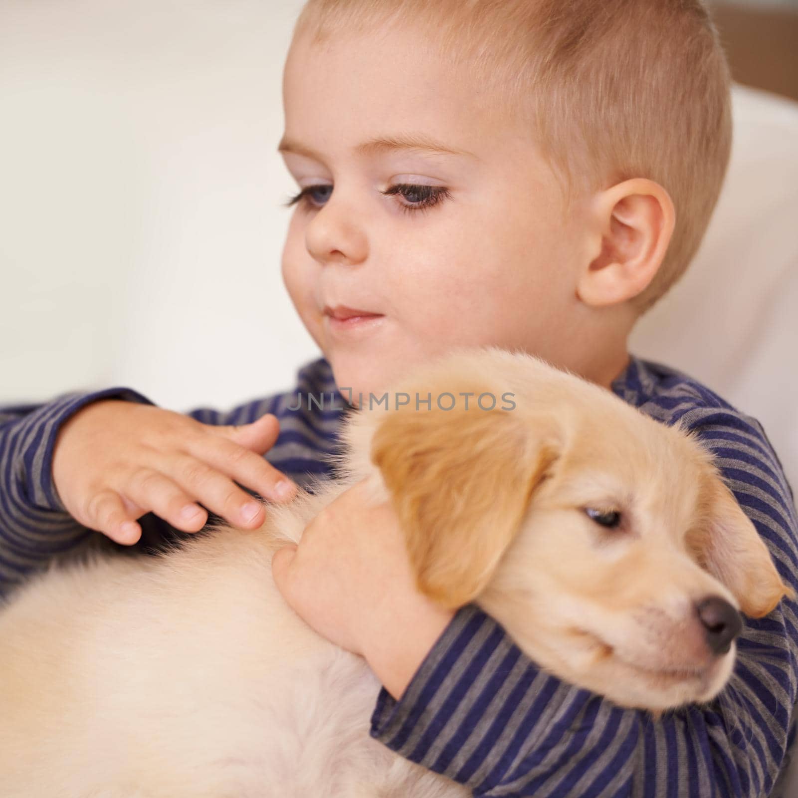 Closeup shot of a little boy petting a puppy.