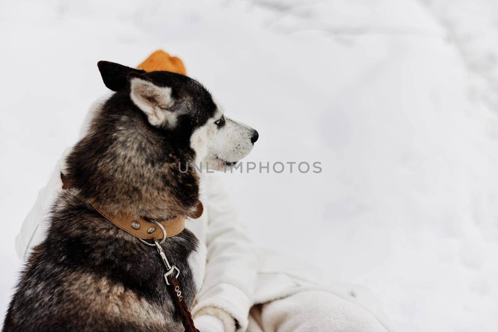 young woman in the snow playing with a dog fun friendship Lifestyle by SHOTPRIME