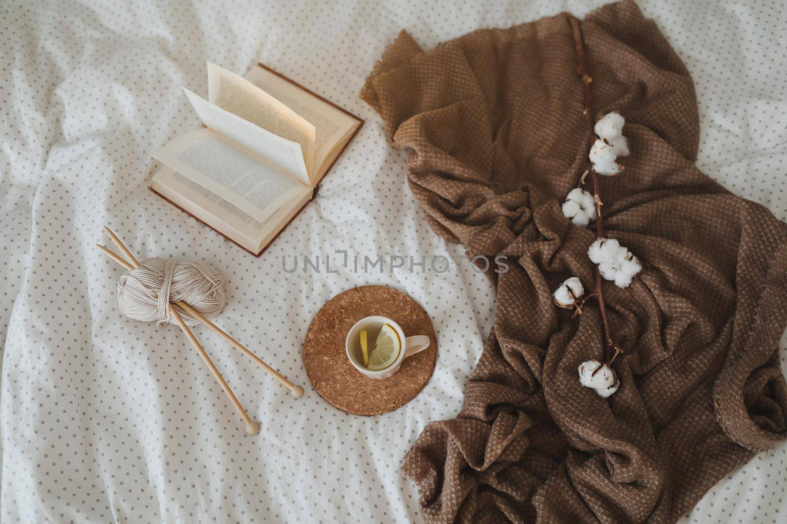 Cozy winter background with a book, tea cup and knitting needles in warm soft bed top view