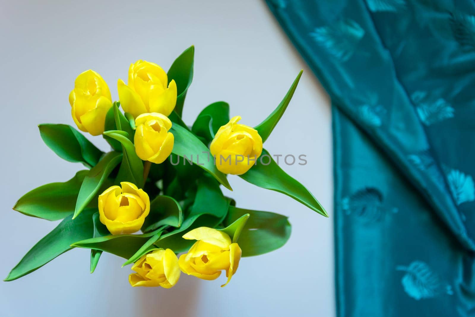A bouquet of yellow tulips seen from above and a piece of fabric