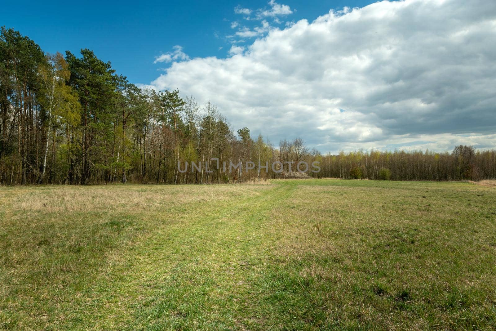 Path through meadow, forest and cloud on the sky, spring view, Czulczyce, Poland