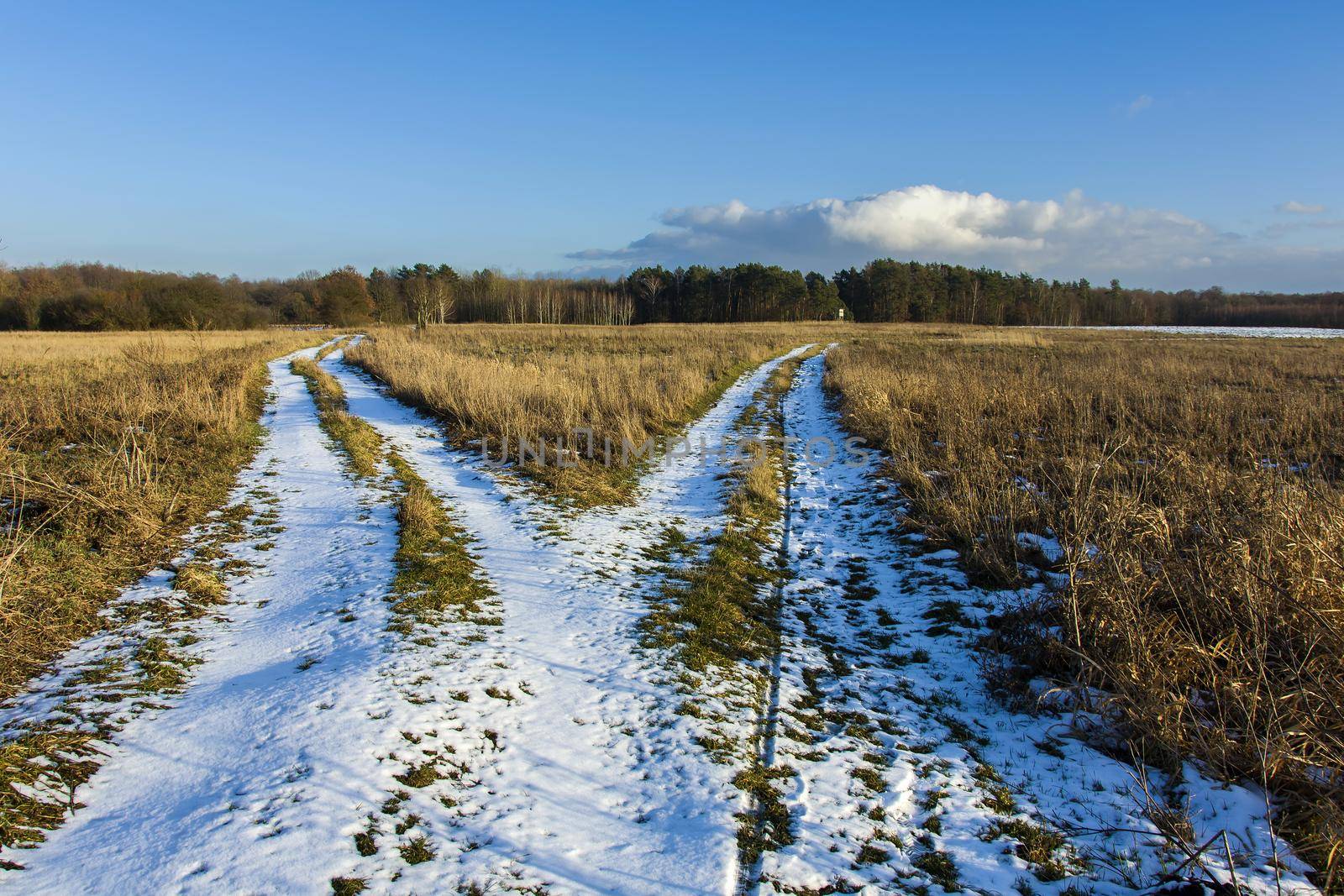 Fork of snow-covered roads on a meadow, winter day