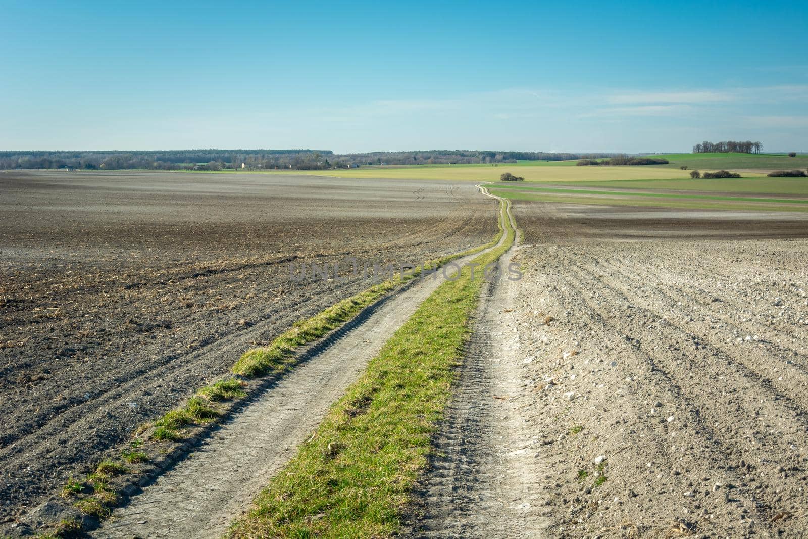A long dirt road through a plowed field by darekb22
