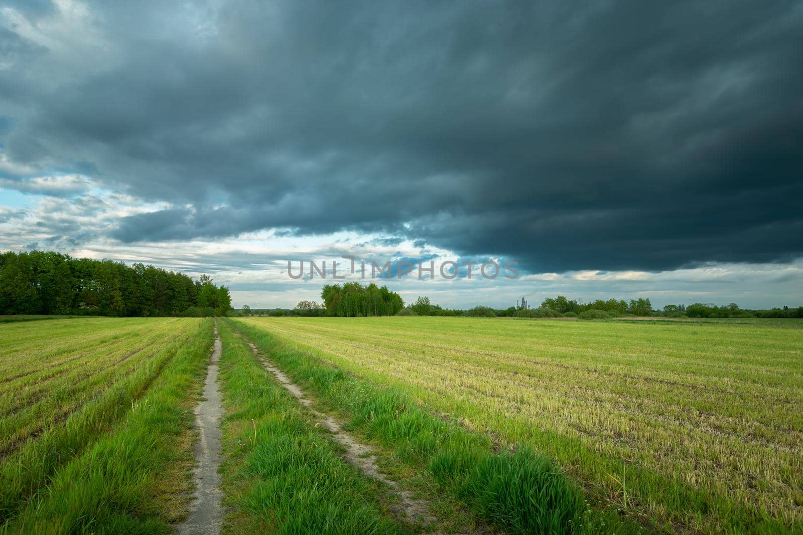 Road through stubble and cloudy sky, spring landscape, Nowiny, Poland