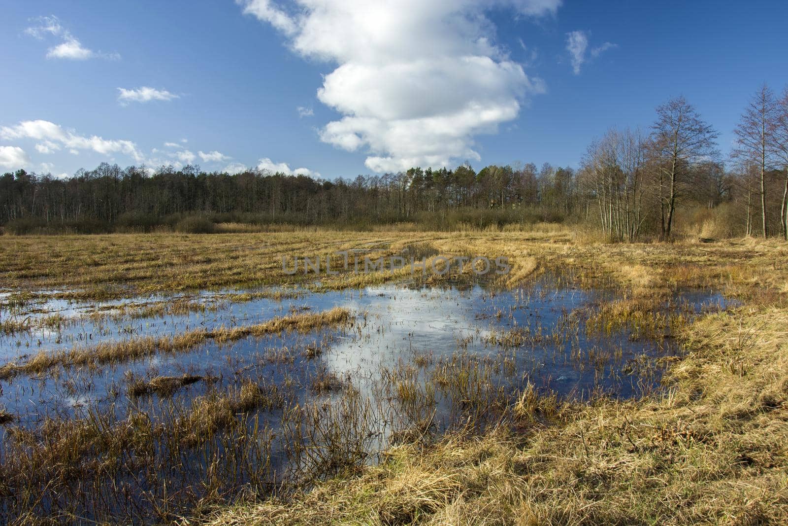 Rain water on a wild meadow and cloud on the sky by darekb22