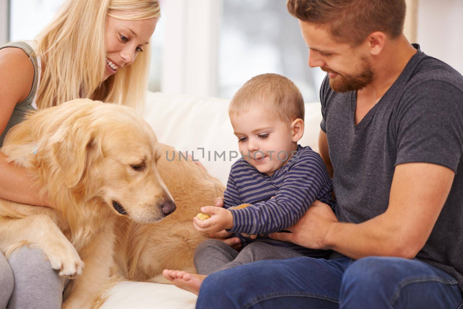 Shot of a small family sitting together with their dog.