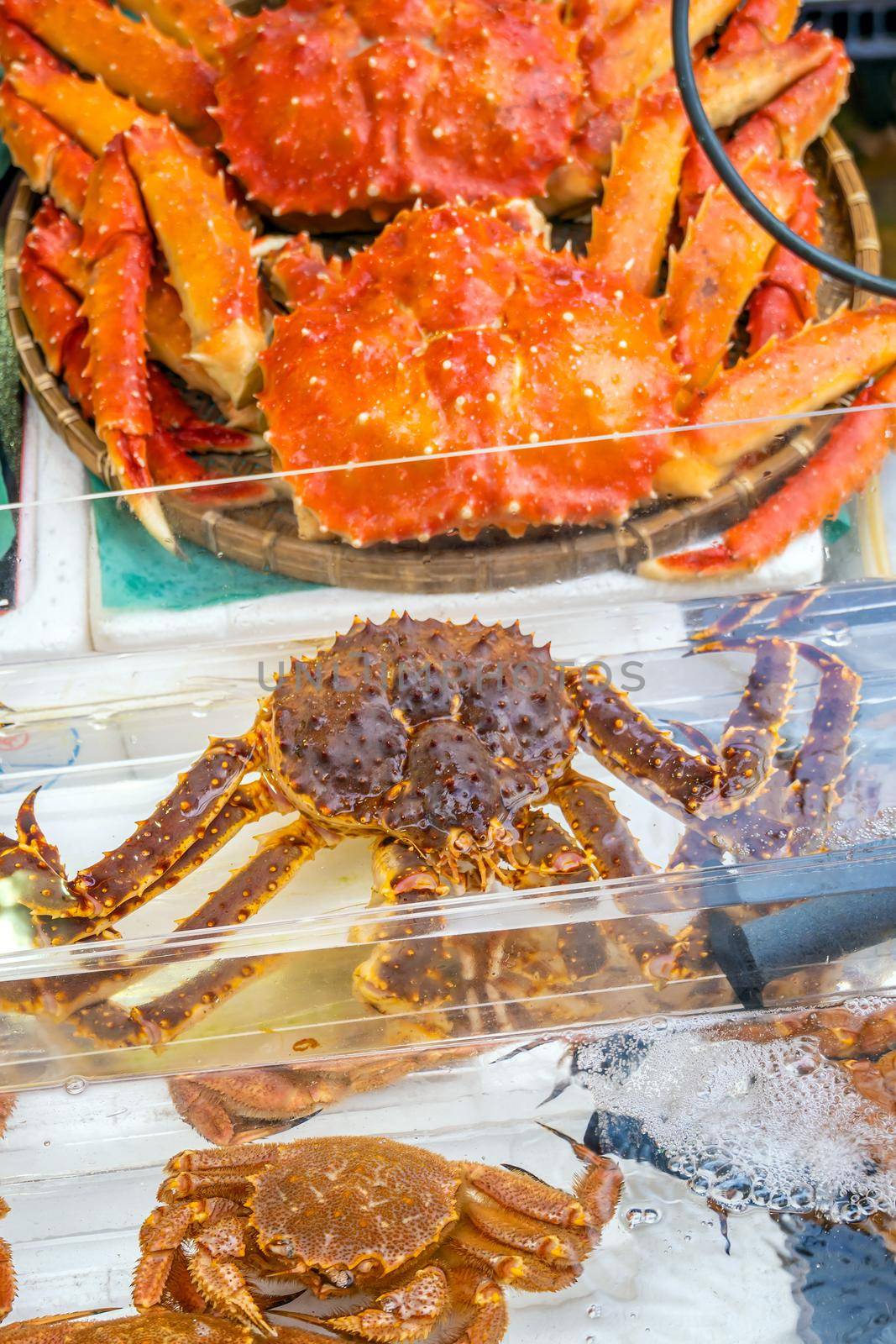 Red King Crab (Taraba crab) or Alaska King Crab  at seafood market in Hakodate, Hokkaido Japan
