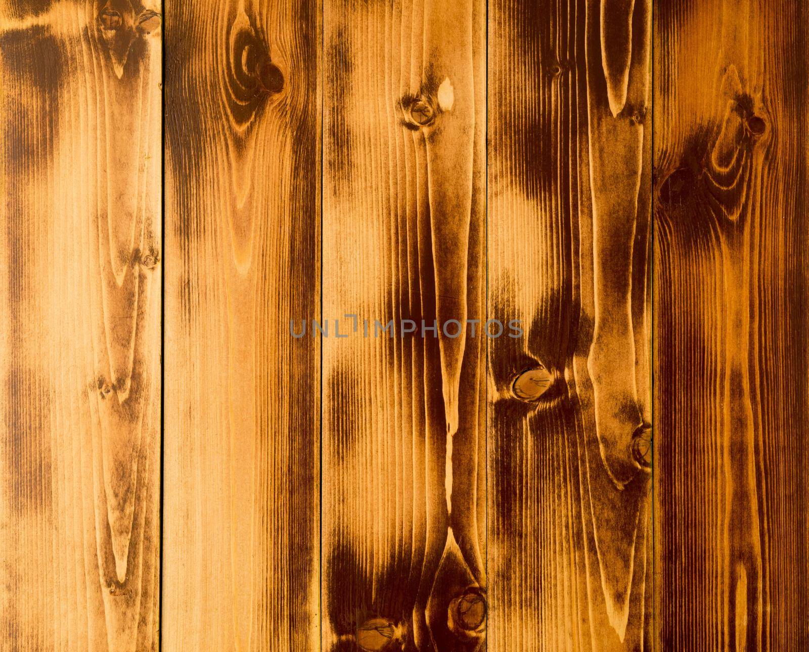 bright contrasting brown background, light and dark areas