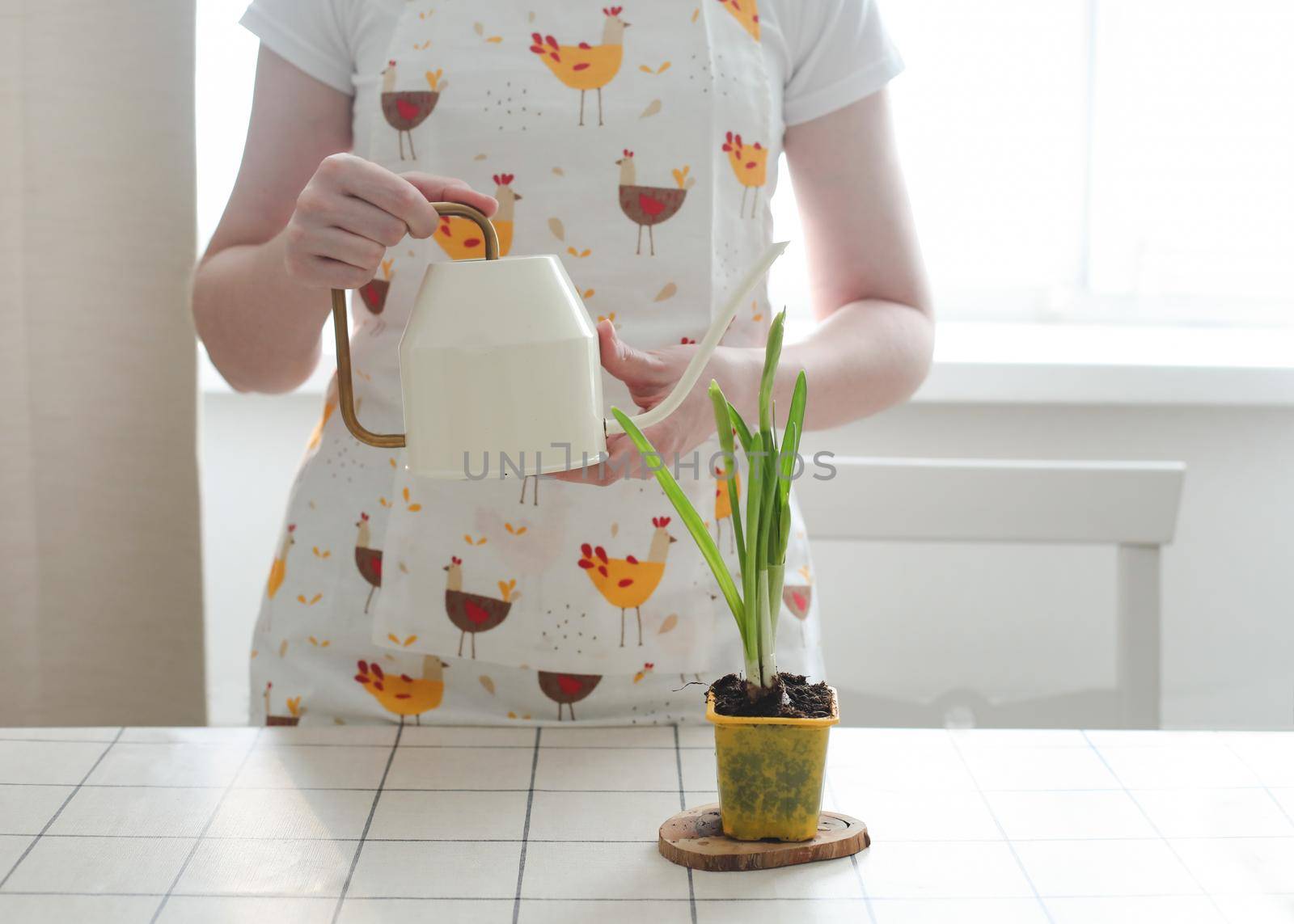 lovely housewife woman in apron with flower in pot. Gardening, holidays, Spring and Easter concept