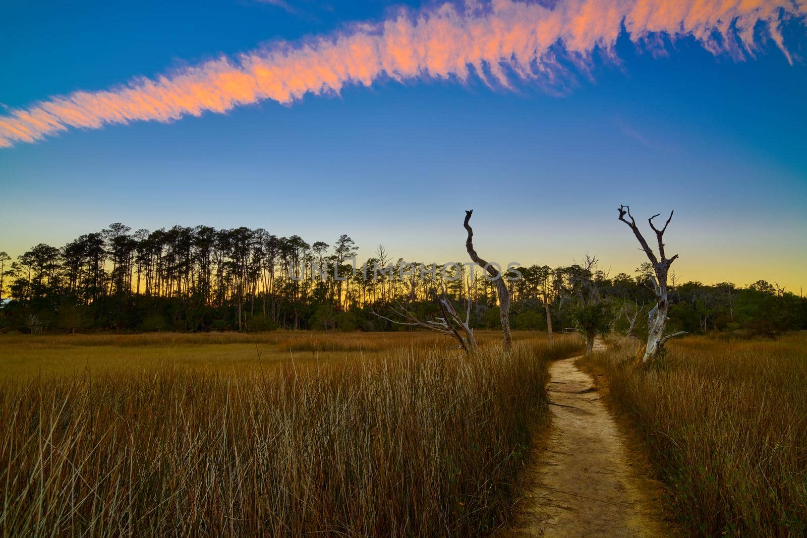 Sunset on the Avian Trail at Skidaway Island State Park, GA.